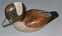 wood duck