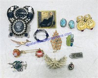 Lot of Costume Pins & Clip on Earrings
