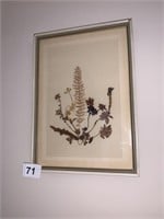FRAMED AND MATTED PRESSED FLOWERS, 8X11