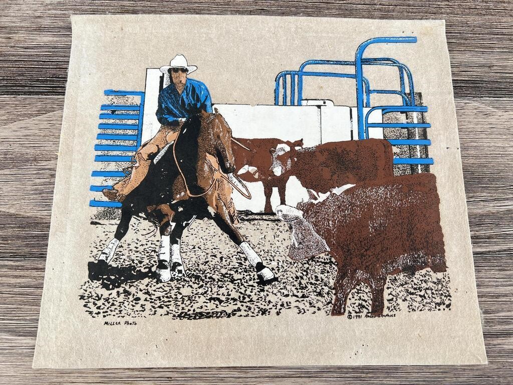 1991 Rodeo Graphics Screen Printed Sign