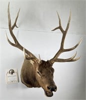 Idaho Pope & Yong Record Book Yellowstone Elk