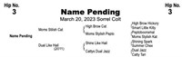 NAME PENDING 2023 Sorrel Colt