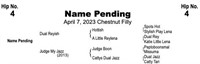 NAME PENDING 2023 Chestnut Filly