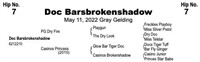 Doc Barsbrokenshadow 2022 Gray Gelding