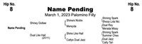 NAME PENDING, 2023 Palomino Filly