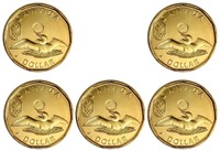 RCM 2012 5 Coin Lucky Loonie UNC Set