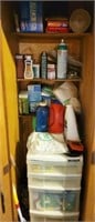 CONTENTS OF CABINET-CLEANING SUPPLIES,