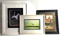 3 Photographs or Prints of Birds