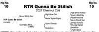 RTR Gunna Be Stilish, 2021 Chestnut Colt