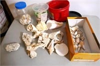 Quantity Shells