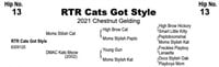 RTR Cats Got Style, 2021 Chestnut Gelding