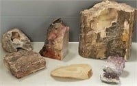 7 rock, etc. specimens including petrified wood