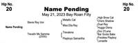 NAME PENDING, 2023 Bay Roan Filly