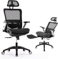 $270 Ergonomic Mesh Office Chair
