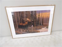 Canadian Moose by Gary Sorrels 101/550 Signed