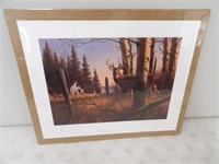 Whitetail Deer by Gary Sorrels 95/850 Signed