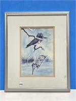 Framed Sue Coleman Print " Kingfisher "