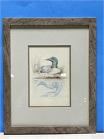 Framed Sue Coleman Print - Loon