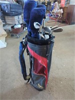 Stand Alone Golf Bag & Set of Scorpion Gravity