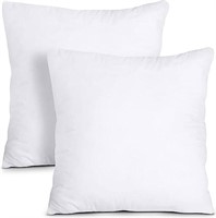 SEALED-Soft Throw Pillow Inserts