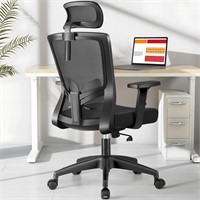 USED $230 Ergonomic Desk Chair