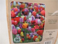 50-Pk Tasc Tulipa Triumph Assorted Bulbs