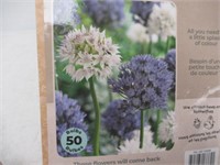 50-Pk Tasc Allium Amplectens Bulbs