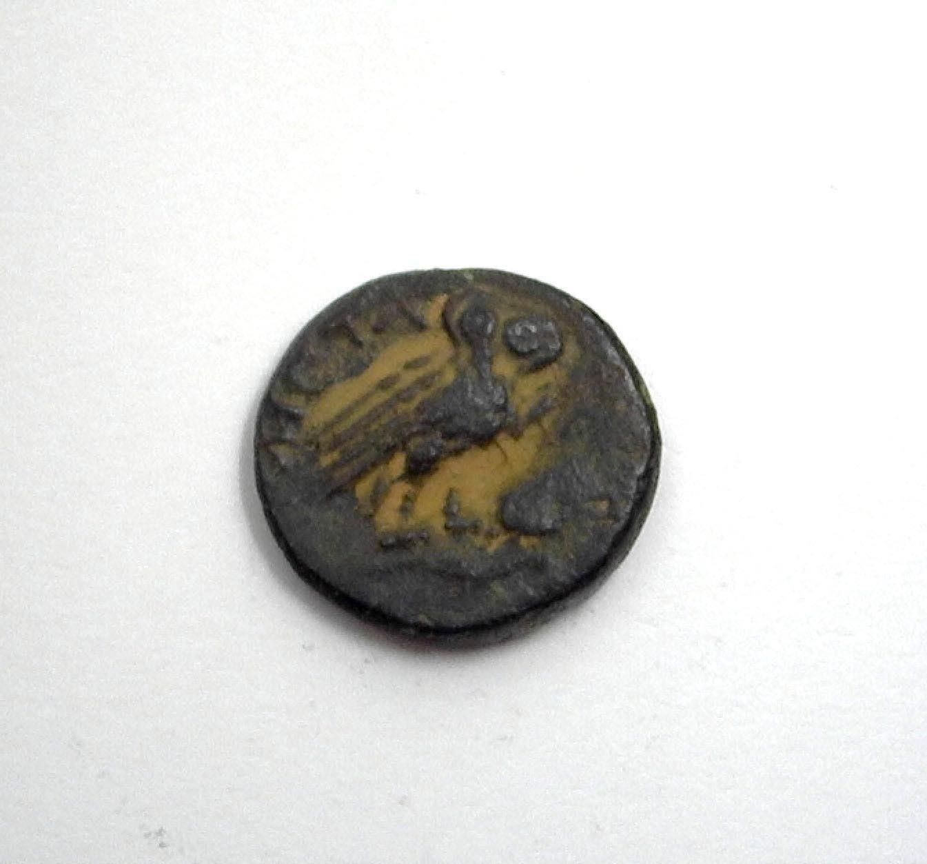 300 BC Athena / Owl XF Bronze