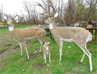Life Sized Aluminum Deer Family