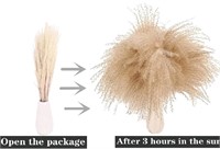 Anproor 24" Dried Pampas Reed(10pcs)