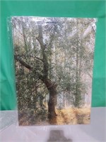 Dark Green Forest Print, Modern Landscape Photogra