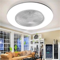 DewShrimp 22" Ceiling Bladeless Fan with Dimmable