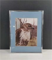 Framed Hawk Photograph with Copper Wire Hanger,