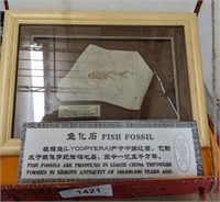 ORIENTAL FISH FOSSIL IN SHOW CASE AND CARRY CASE