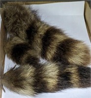 RACOON TAILS