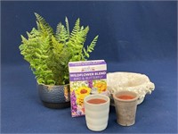 Planters, plastic fern and Wildflower Blend seeds