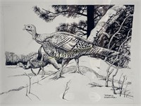 Charlie Schwartz Original Turkey Ink Drawing