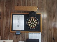 Wall Moutnted Dart Board and Light. Buyer Must