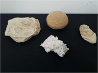 Fossils and really cool rocks