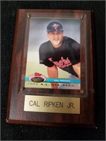 Framed Cal Ripken Jr baseball card 1991 Al All