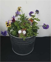 10x 8-in pail with pansies and a solar peekaboo