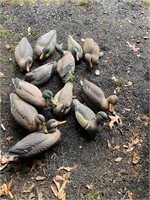 12 assorted duck decoys
