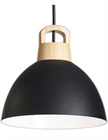 Black modern hanging pendant light