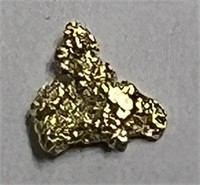 About a 1/4" REAL Gold Nugget! .2 Gram Weight