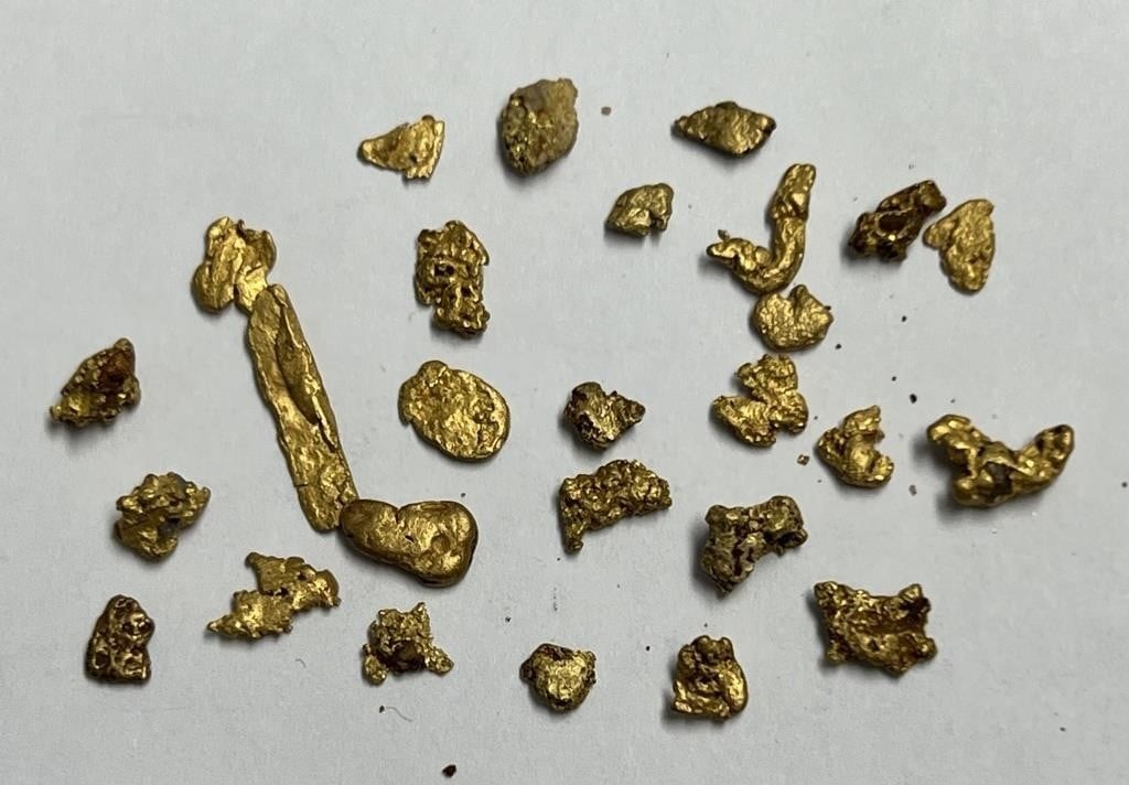 4.0 Gram Bag of REAL Gold Nuggets!