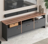 Oslon TV Stand for TVs up to 65"  $409
