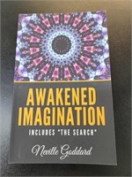 Awakened imagination book