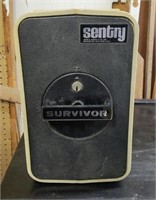 Sentry Survivor Safe, 8 in wide, 13 in tall,