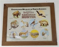 Endangered Wildlife of North America Presented By