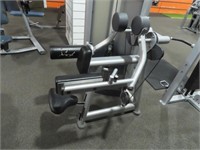 Life Fitness Lateral Raise Station & Weights